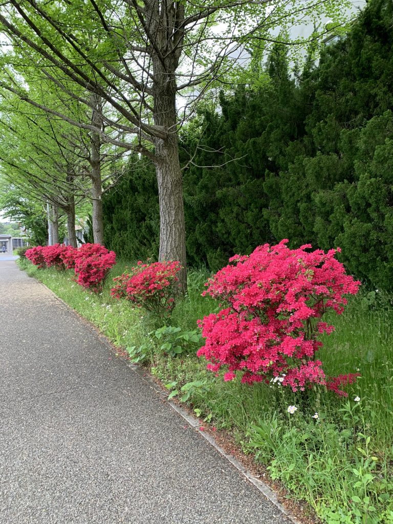 サムネイル:過ごしやすい季節・・ご来場ありがとうございました。