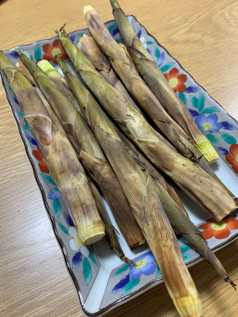 サムネイル:命がけ？？