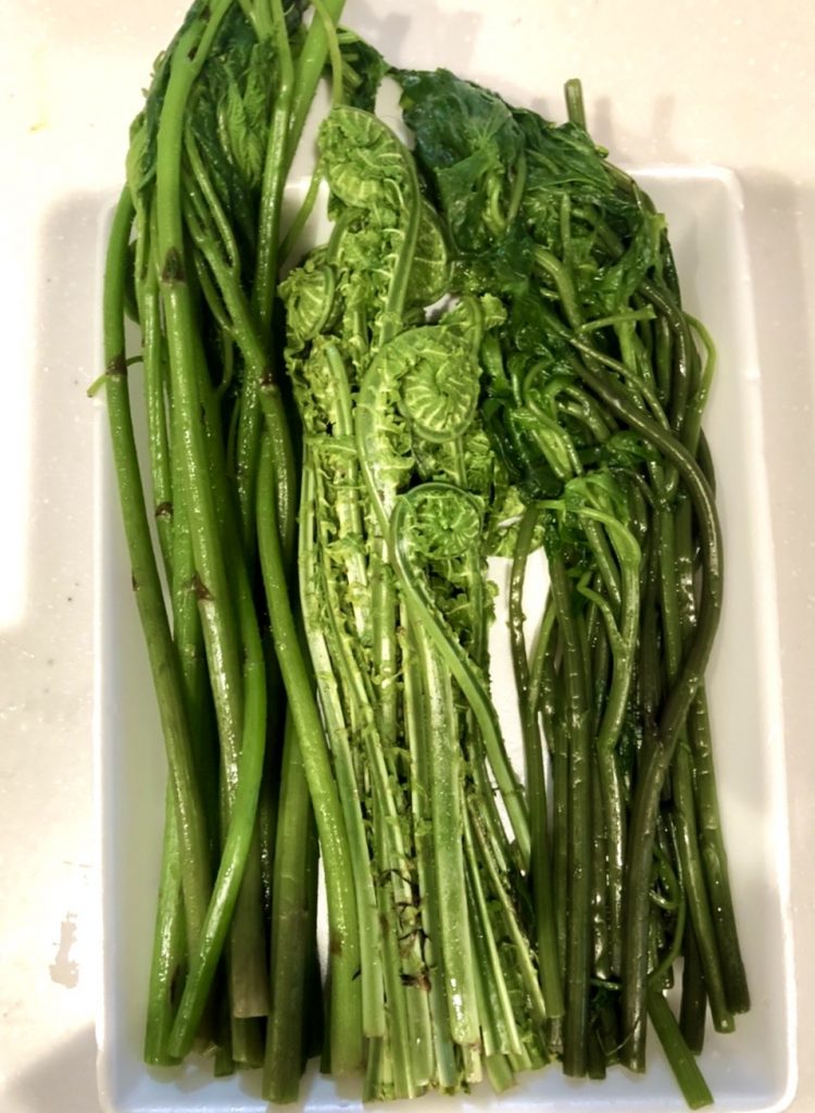 サムネイル:春のおすそ分け…山菜3