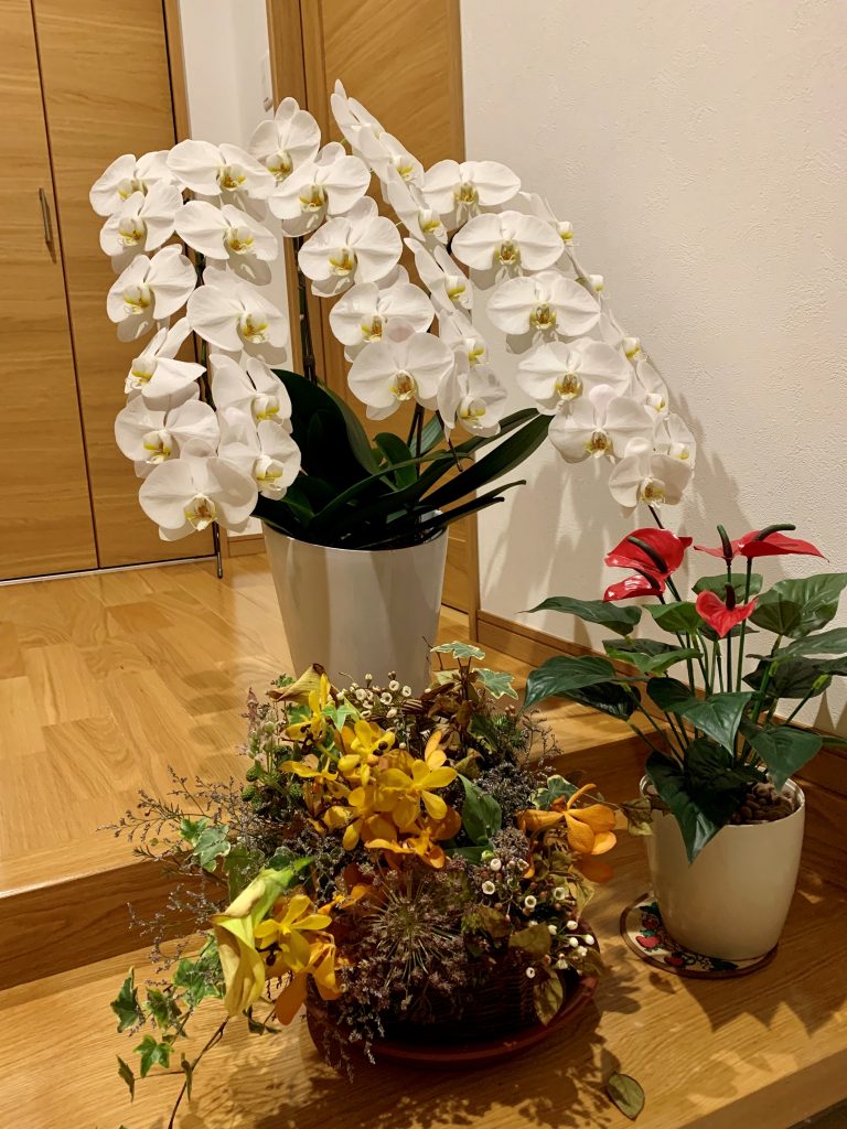 サムネイル:花