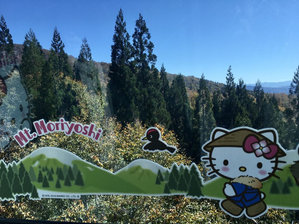 サムネイル:今年も最高でした！