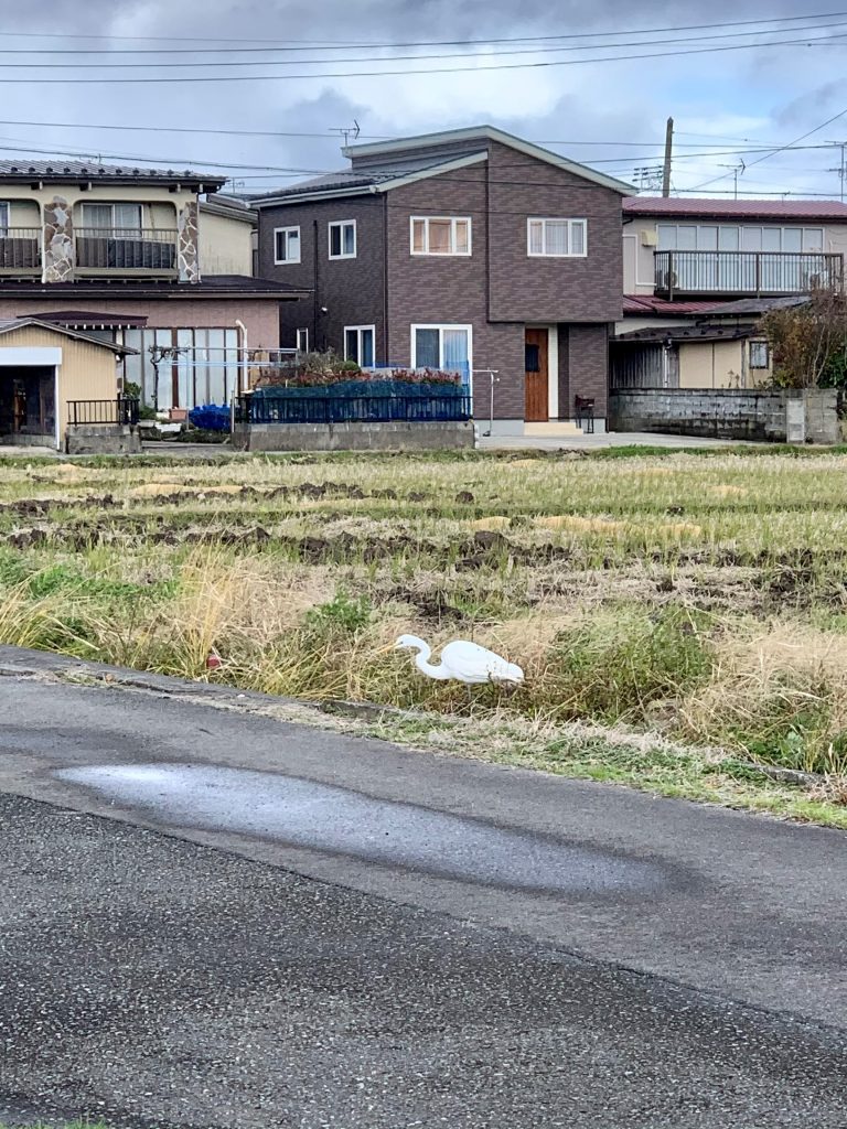 サムネイル:自然だなぁ～