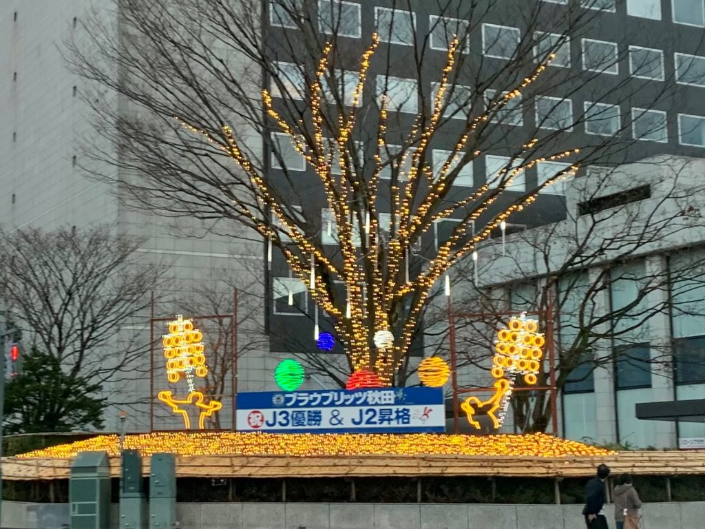 サムネイル:今年も・・・
