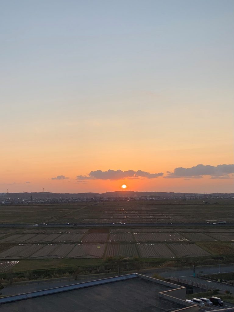 サムネイル:寂しげですね