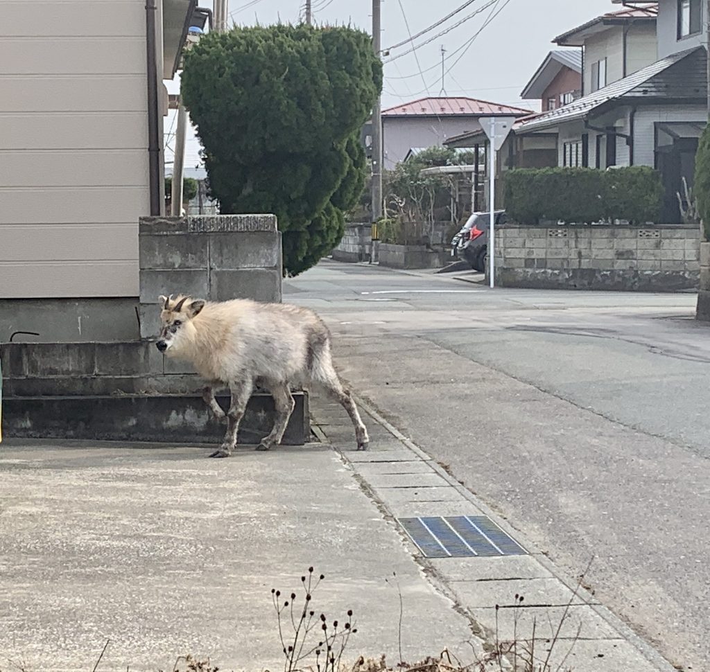 サムネイル:不法侵入だよ～
