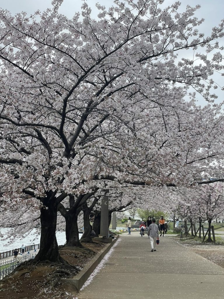 サムネイル:待ち遠しい