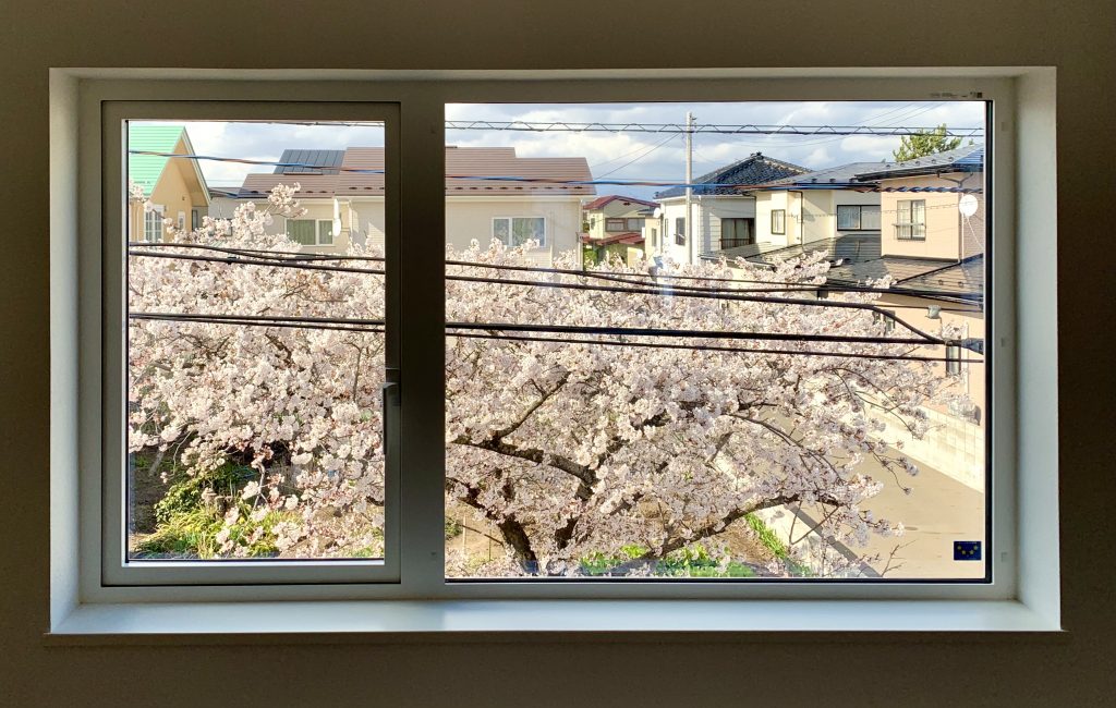 サムネイル:絵画ではありませんよ。