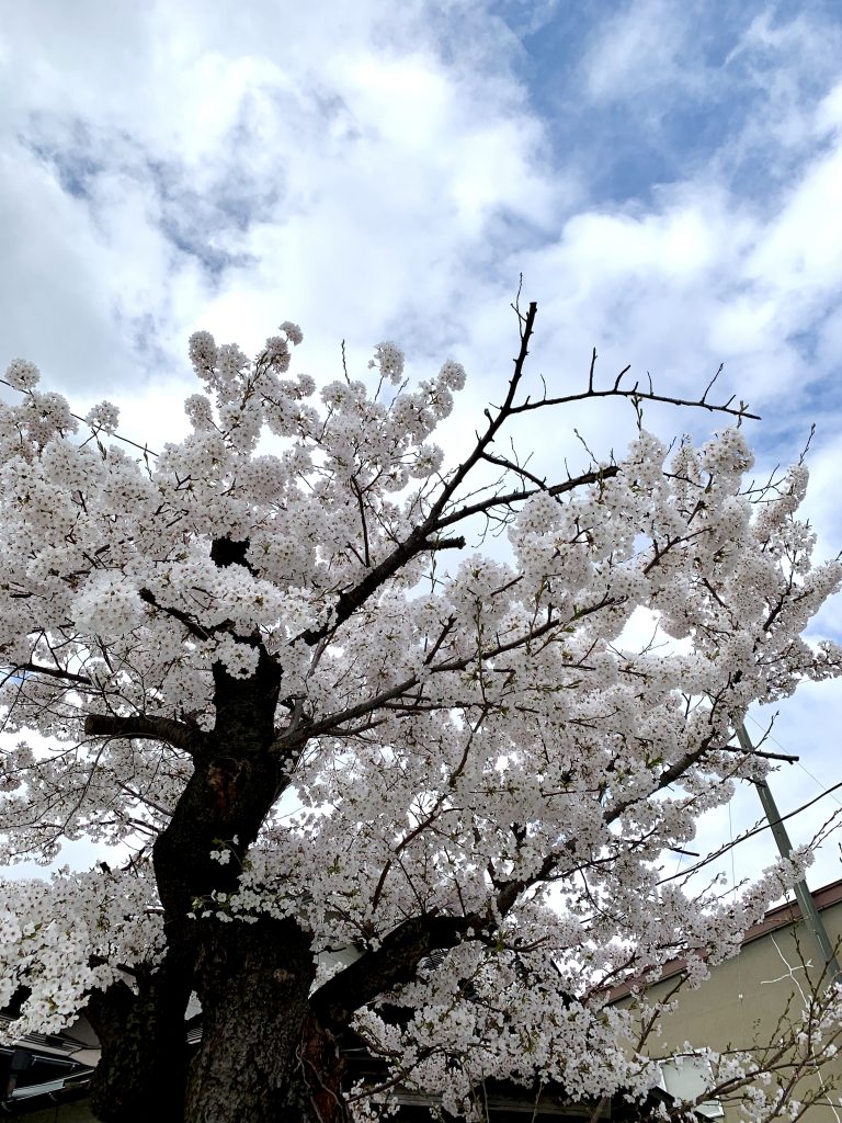 サムネイル:ちょっと待った！