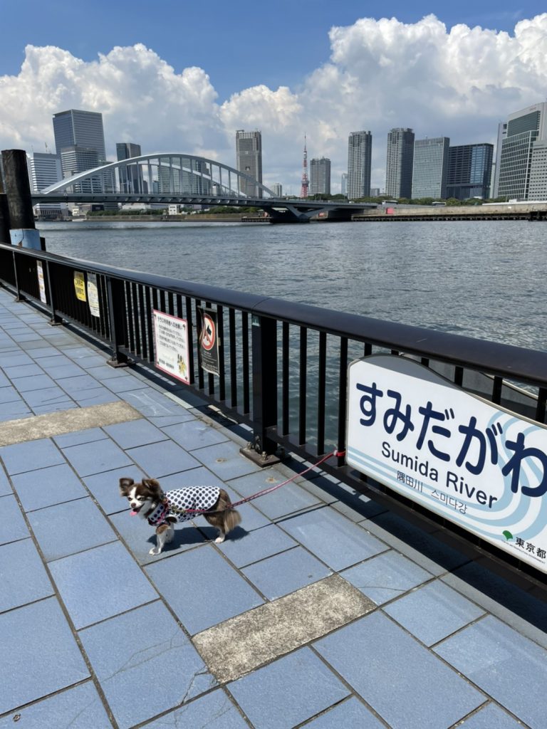 サムネイル:ここなら安心？