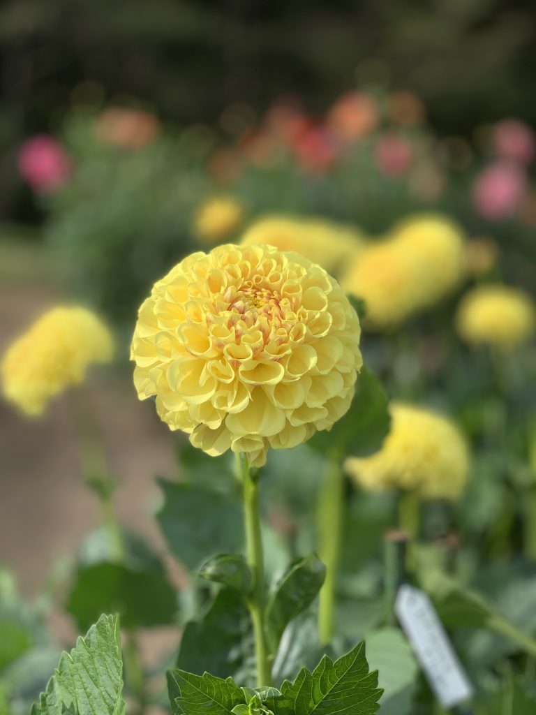 サムネイル:家族と・・