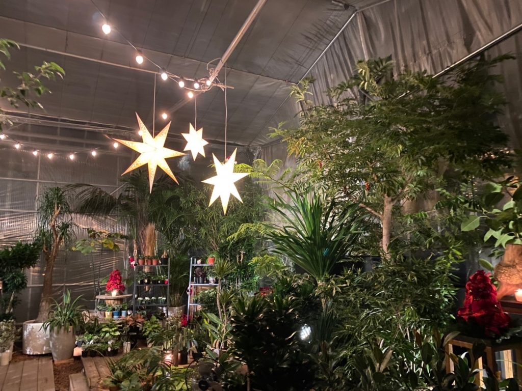 サムネイル:Christmas Market