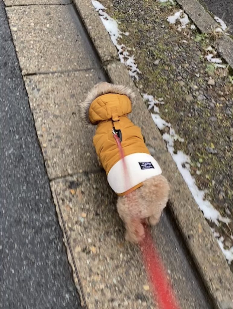 サムネイル:私だって・・