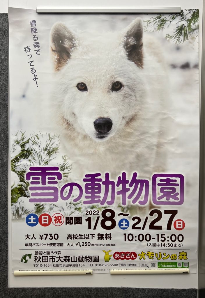 サムネイル:見に行きたい・・孫と