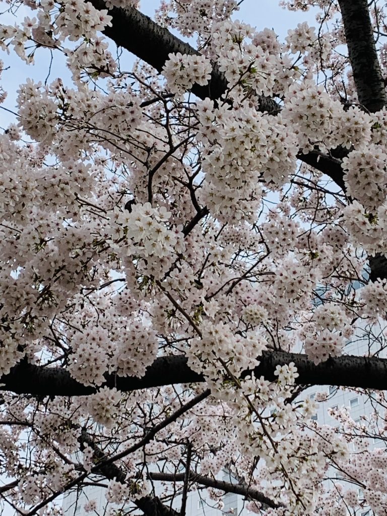サムネイル:こちらも・・・