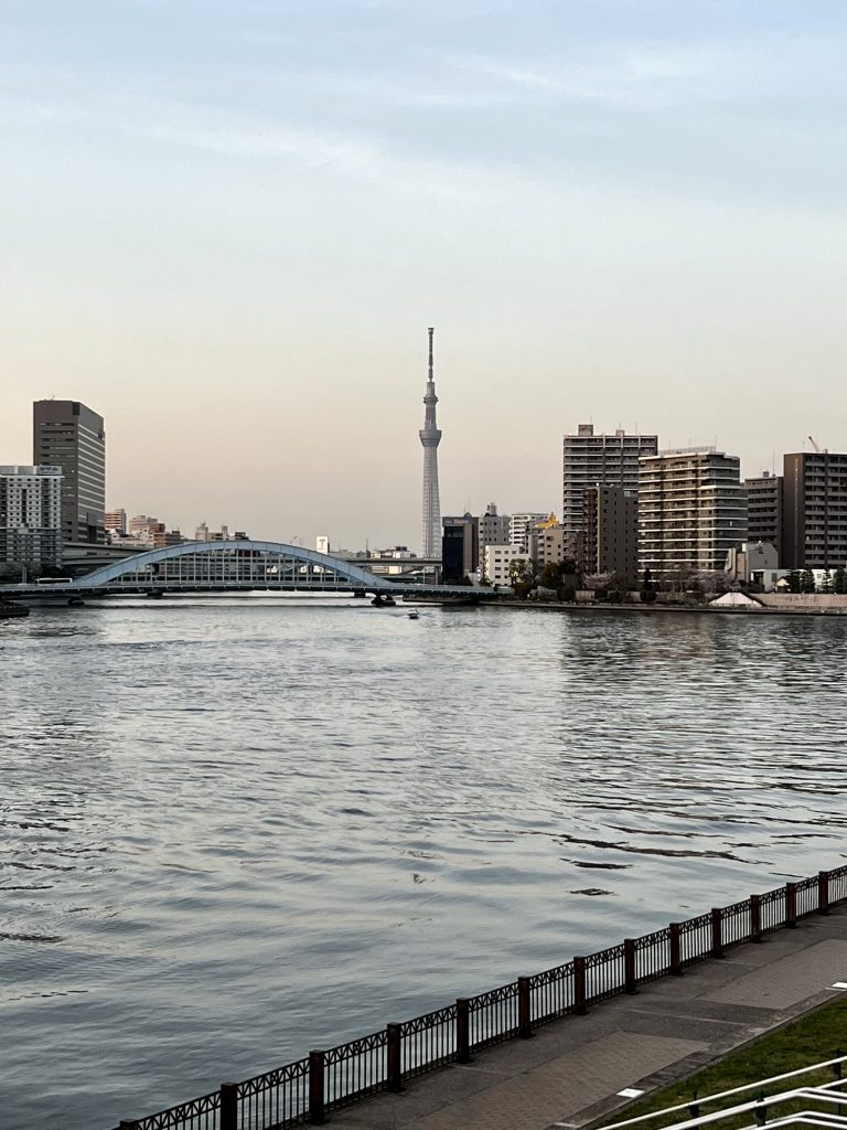 サムネイル:だんだん慣れてきました。