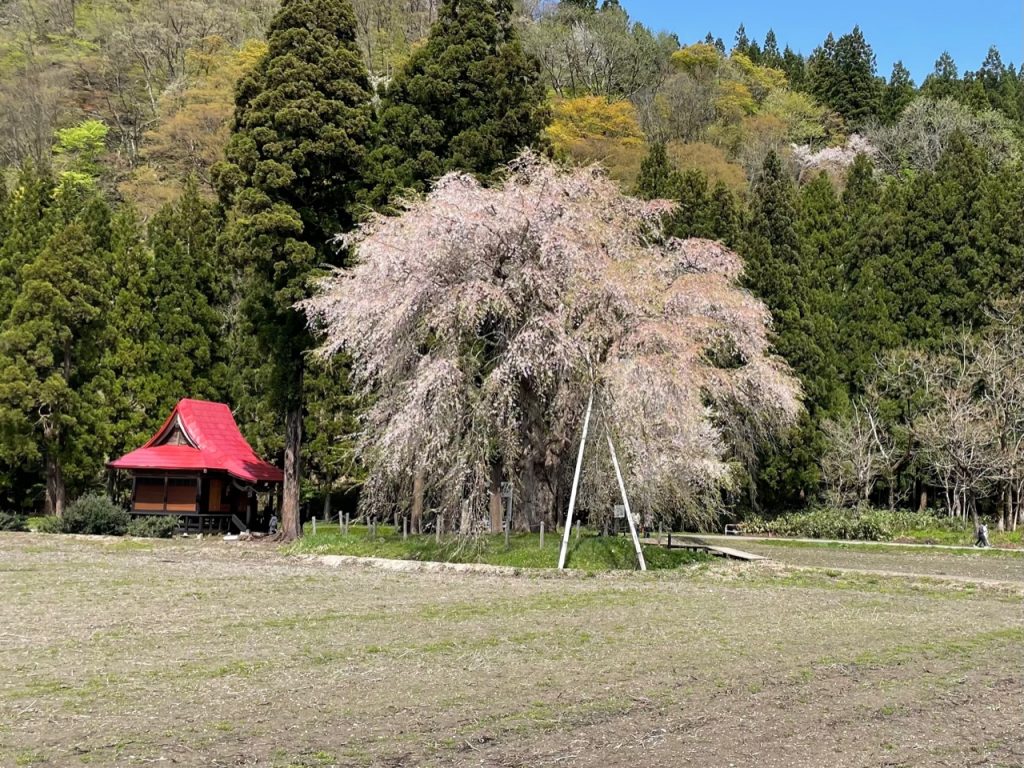 サムネイル:行ってみたい