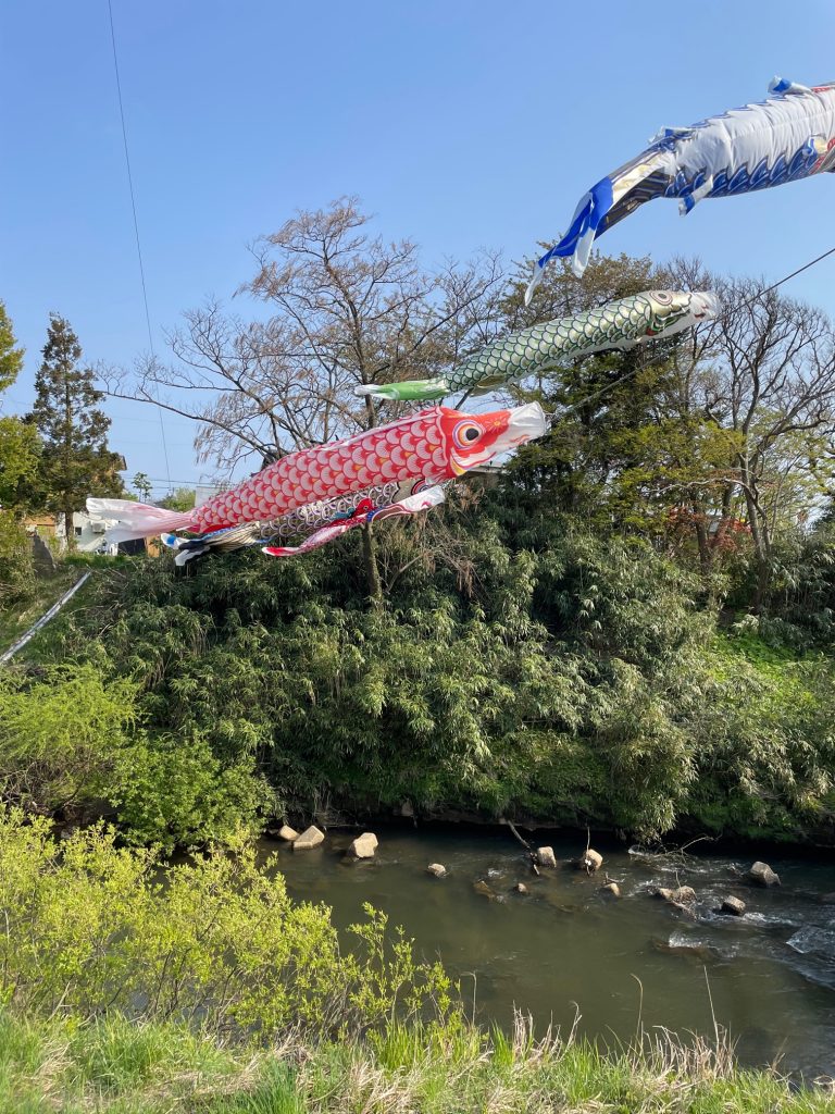 サムネイル:あれ！見なかったかも？
