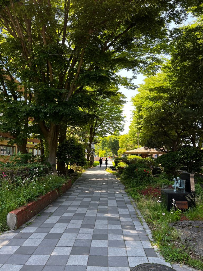 サムネイル:涼しい