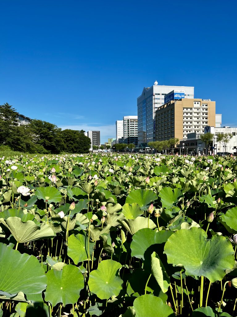 サムネイル:大好きな景色です。