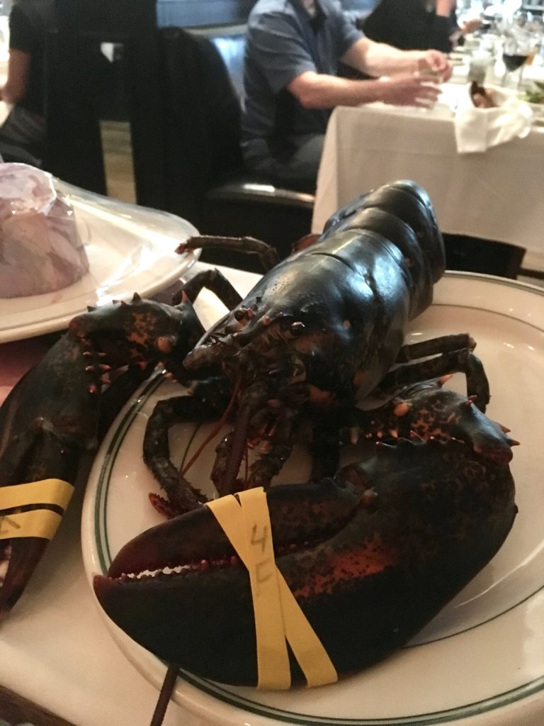 サムネイル:美味しかったシリーズ④