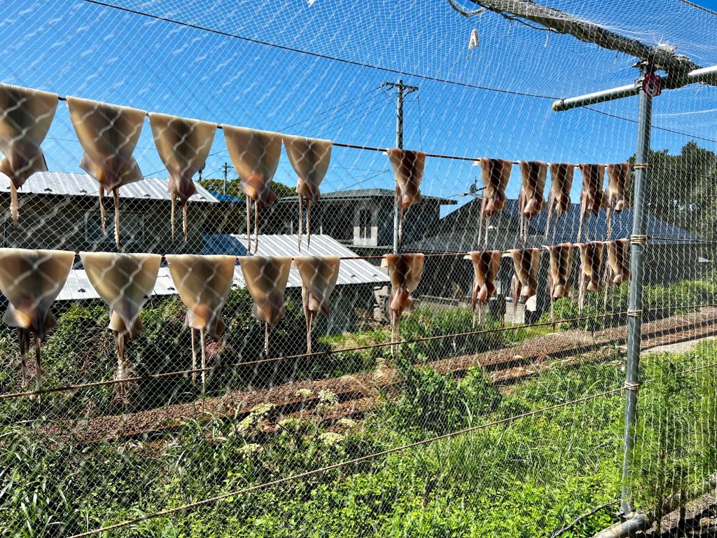 サムネイル:休日にドライブ